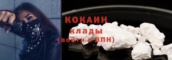 Альфа ПВП Аркадак