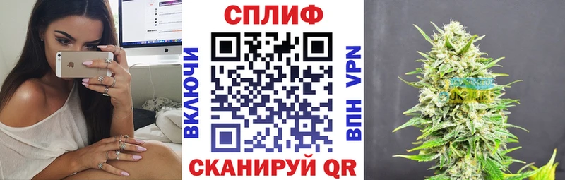 дарнет шоп  Олонец  Бошки марихуана VHQ 